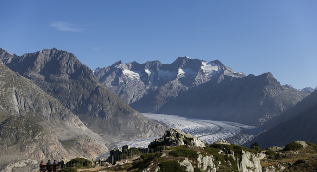 Aletsch-Gletscher schrumpft jährlich um 40 Meter: Alarm bei Brig