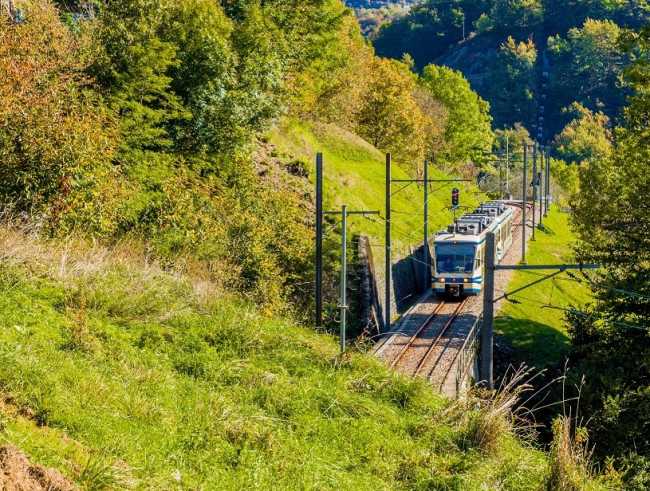 Camedo Christina Guerra