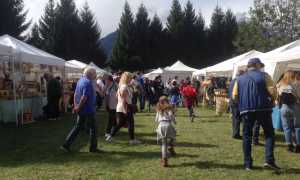 IMG 6784