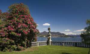 Isola Bella 196