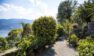 Isola Bella 57A7798