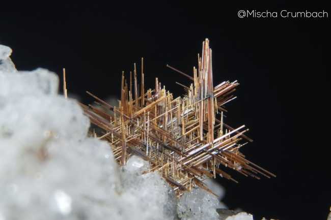 Mischa Crumbach Micromeraviglie1