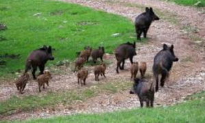 Schermata 2019 08 24 alle 10.05.54