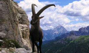 Schermata 2019 11 07 alle 13.37.50