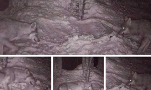 Schermata 2019 12 12 alle 13.23.36