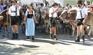 Schermata 2020 01 14 alle 15.42.29