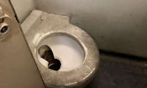 Schermata 2020 01 17 alle 16.18.19