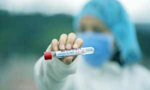 Schermata 2020 11 16 alle 14.54.47