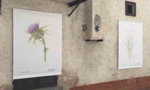 Schermata 2020 12 26 alle 10.50.45