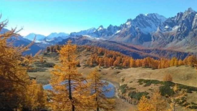 Schermata 2021 01 09 alle 15.18.49