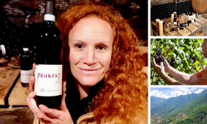 Schermata 2021 01 16 alle 19.25.46