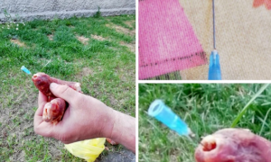 Schermata 2021 04 03 alle 16.37.34