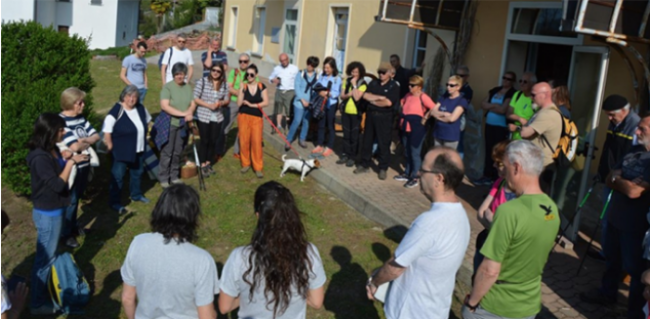 Schermata 2021 07 01 alle 10.08.20