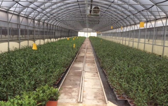 Schermata 2021 08 16 alle 09.22.00