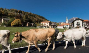 Schermata 2021 10 18 alle 15.40.47