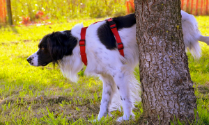 Schermata 2021 11 01 alle 10.24.57