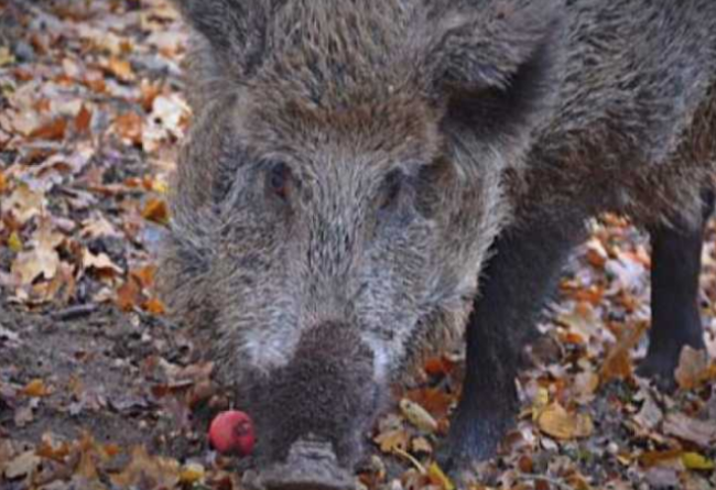 Schermata 2022 01 18 alle 15.28.44