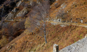 Schermata 2022 12 28 alle 08.32.23 images articles vco ossola 2022 dicembre thumb medium650 0