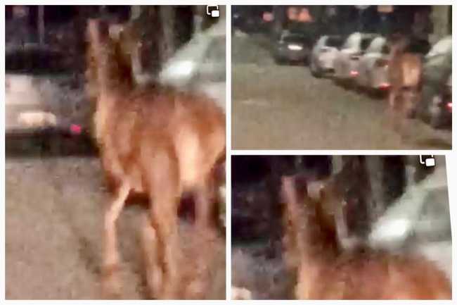 WhatsApp Image 2023 11 21 at 10.32.47