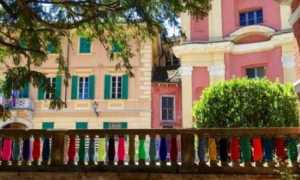 ameno museo