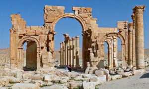 arona arco palmira 3d