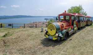 arona trenino
