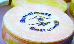 bettelmatt forma