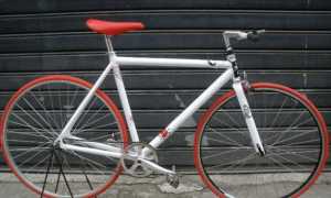 bicicletta