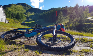bicicletta