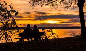 biciclette
