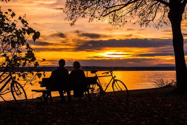 biciclette