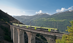 bls ponte