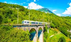 bls treno estate