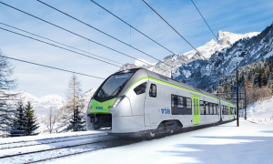 bls treno neve