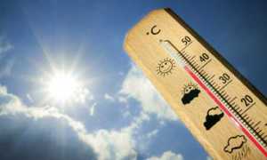 caldo termometro