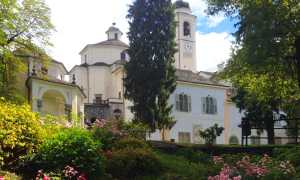 calvario fiori