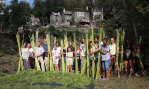 canova associazione
