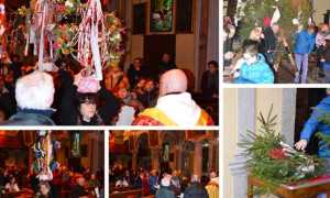 cavagnette mix borogmezzavalleb