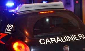 cc notte