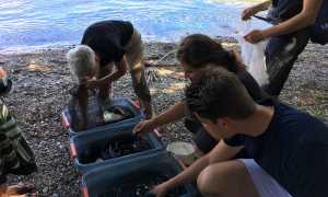 cozze