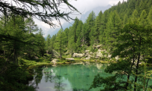 devero lago acque