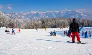 domobianca snow sci