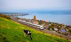 ferrovia bls treno