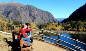 foliage.antrona.2025.panchina 768x512