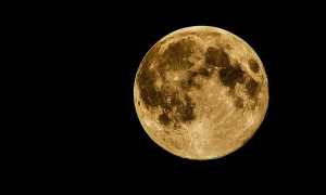luna 1