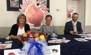 mele e miele 2018