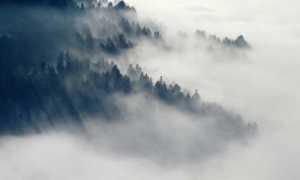 meteo brume