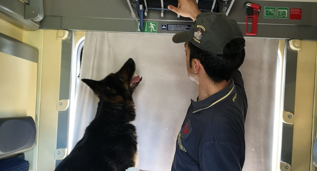 Mehr Kontrollen: Über 6 Mio. Euro an der Grenze im VCO sichergestellt