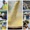 Herbstfest in Cuzzego: Polenta in vielen Variationen und viel Musik 