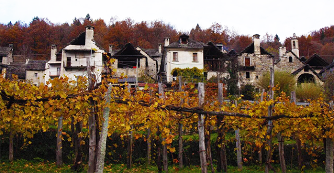 montecrestese vigne